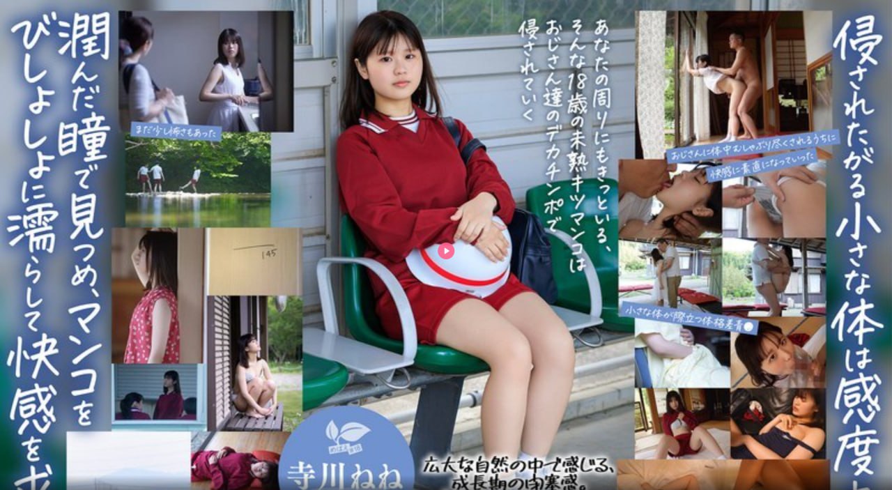 善良的小峓子4在线线免费メイリン モデルコレクション18🈲高清在线观看